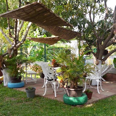 מלון Tuxtla Gutiérrez Real Del Ambar מראה חיצוני תמונה